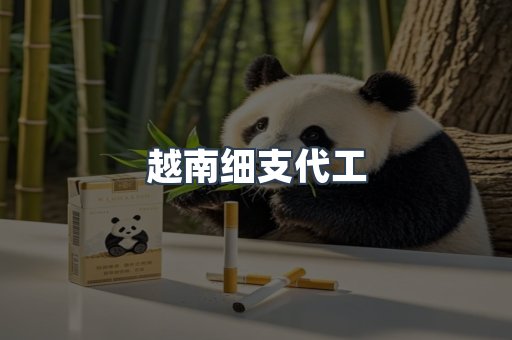 云霄香烟批发